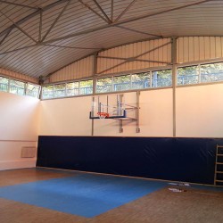 Dom Petar Radovanović - Užice